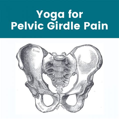 Yoga For Pelvic Girdle Pain Pelvic Health Professionals