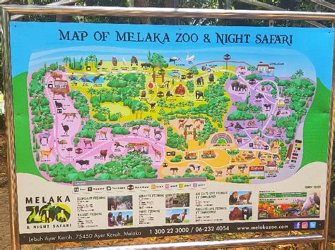 Harga tiket masuk dan tiket wahana. Zoo Melaka & Night Safari | Zoo Kedua Terbesar Di Malaysia ...