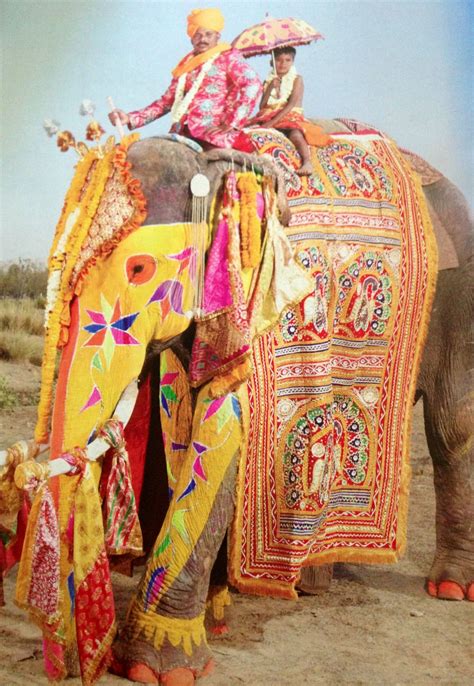 Parade Of The Painted Elephants Jaipur India Elephant Painting