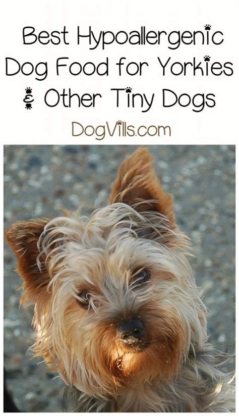 Purchase hypoallergenic commercial dog foods formulated with limited ingredients. Best Hypoallergenic Dog Food for Yorkies