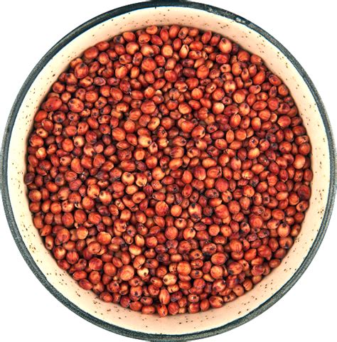 Red Sorghum Om Shree