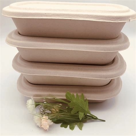 Eco Friendly Compostable 1000ml Disposable Food Box With Nutual Pulp