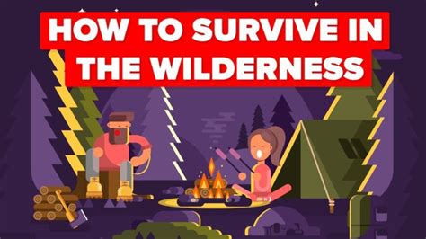 Video Infographic What You Should Do To Survive In The Wilderness