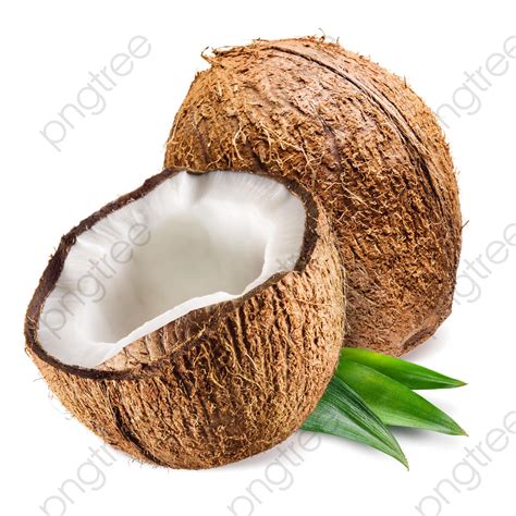 Fresh Coconut Coconut Clipart Cut Coconut Flesh Png Transparent Image