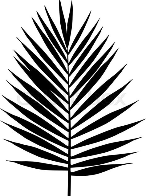 Palm Leaf Silhouette Vector Illustration Tropical Leaves Stock