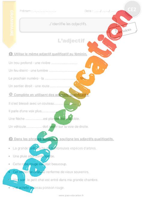 Utilise le même adjectif qualificatif au féminin. J'identifie les adjectifs. - CE2 - Exercices à imprimer - Pass Education