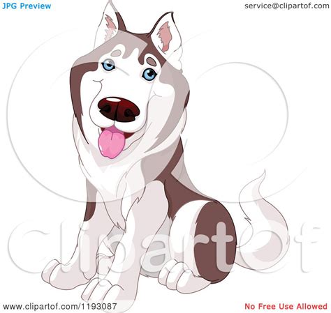 Cartoon Of A Happy Cute Husky Dog Sitting Royalty Free