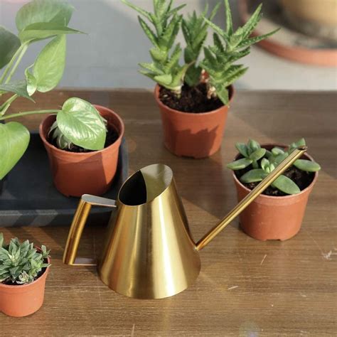 Watering Can Perfect Watering Can Indoor Plants Brass Etsy