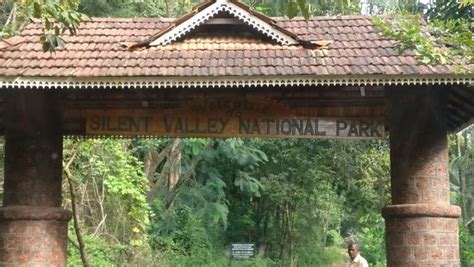 Silent Valley National Park Kerala 2019 Ce Quil Faut Savoir Pour Votre Visite Tripadvisor