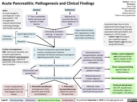 Acute Pancreatitis Calgary Guide Pathophysiology Nursing Acute