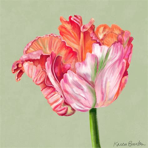 Parrot Tulip Art Print By Karen Burton