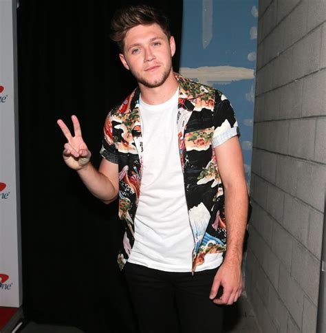 Niall Horan Posts Injury Pic On Instagram After Smashing Finger