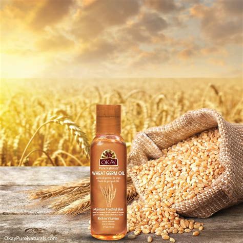 Can a germ be beneficial? Wheat Germ Blended Oil for Hair & Skin Paraben Free-Rich ...