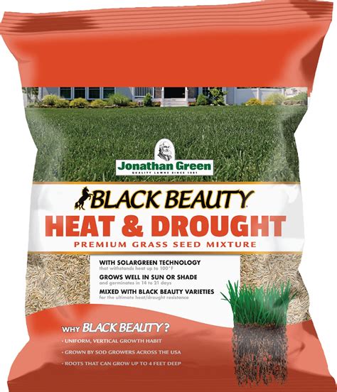 Buy Jonathan Green Black Beauty Heat Drought Resistant Grass Seed Mix