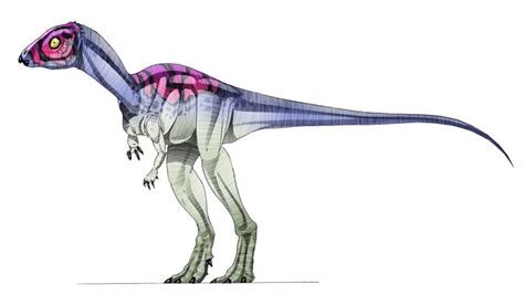 Micropachycephalosaurus Pictures And Facts The Dinosaur Database