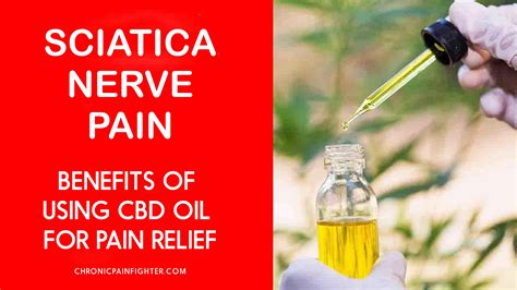 Sciatica Nerve Pain Benefits Of Using Cbd Oil For Pain Relief