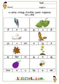 Students write a or an to complete the sentences. Best Tamil Worksheets for class 1 | Worksheets | Pinterest | Worksheets, Activities and ...