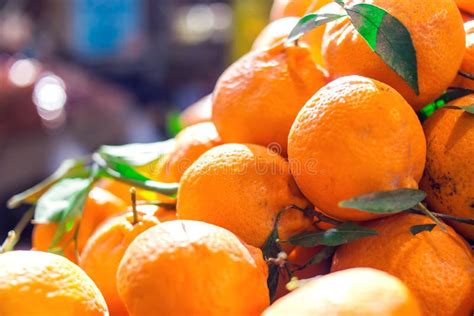 Fresh Organic Mandarins At A Farm Market Stock Image Image Of Group