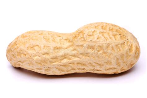 Peanut Isolated On A White Background Close Up Stock Image Image Of