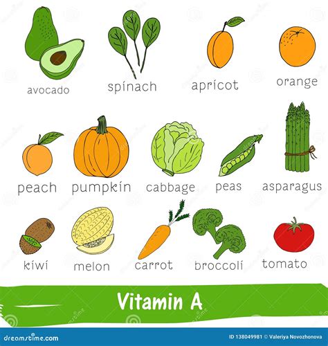 Vegetables And Fruits With A High Content Of Vitamin A Hand Drawn