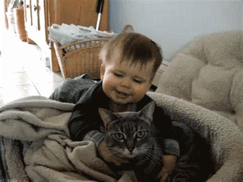 Cat Hug  Find And Share On Giphy