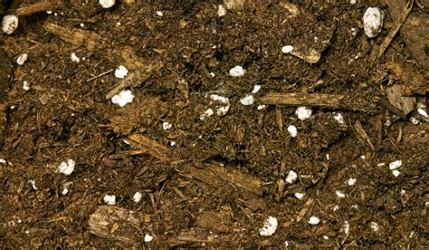 Best Foundation For Sandy Soil A Comprehensive Guide To Building