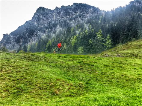 Kostenlose Foto Wald Gras Wildnis Berg Wiese Hügel Abenteuer