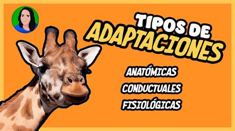 Ejemplos De Adaptaciones Morfologicas Fisiologicas Y Conductuales