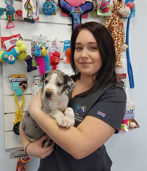 We have years of experience treating serious conditions and offering regular pet wellness care. Ipswich Family Veterinary Clinic - Vets & Veterinary ...