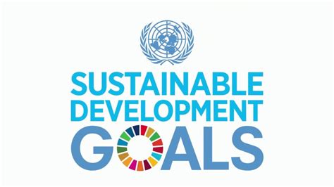 How To Achieve The Sustainable Development Goals Reflow