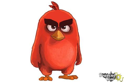How To Draw Red From The Angry Birds Movie Drawingnow