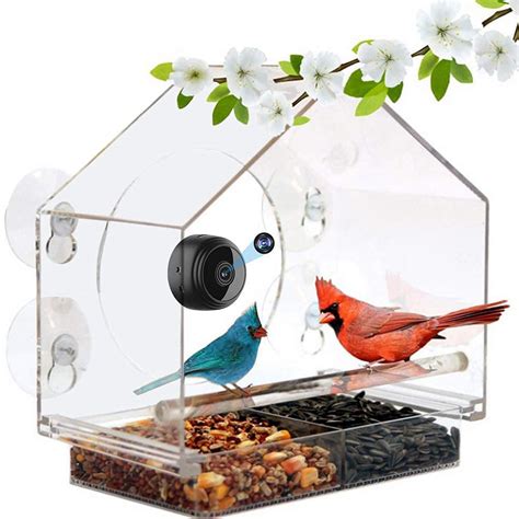 Bird Feeder Camera Here Are The 6 Best Options In 2021