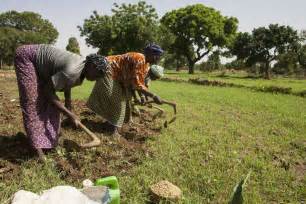 Burkina Faso Cdais Capacity Development For Agricultural Innovation
