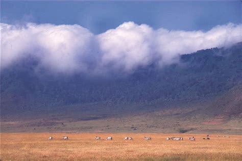 Ngorongoro Crater Conservation Area Jacksons African Safaris