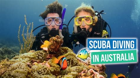 Scuba Diving In The Great Barrier Reef Youtube