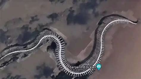 Behold The Worlds Largest Snake See The Incredible Picture That Will