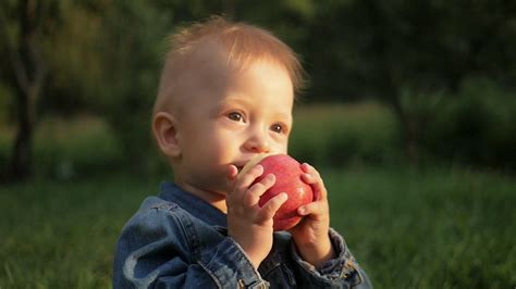 Portrait Of Beautiful Baby Boy Eating Apple On The Lawn Stock Video