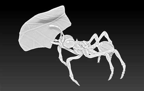 red ant 3d model 3d printable cgtrader