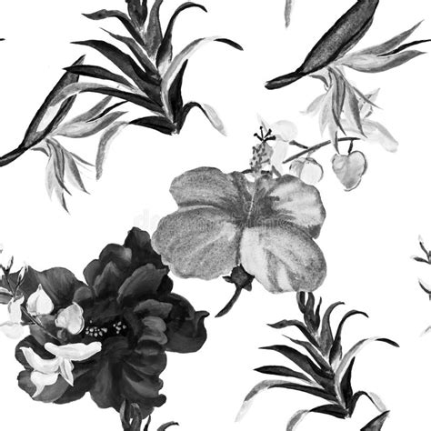 Black Tropical Foliage White Exotic Set Hibiscus Texture Seamless