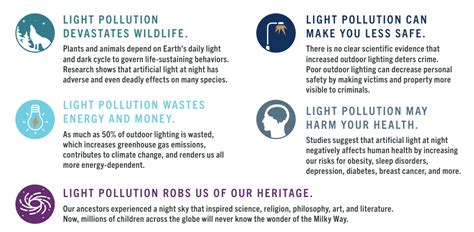 How Light Pollution Harms The Planet And What To Do About It World