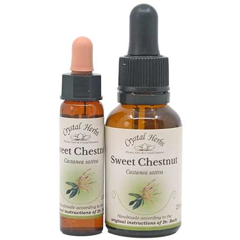 Sweet Chestnut Bach Flower Remedy Land Of Reiki And Aroma Shop