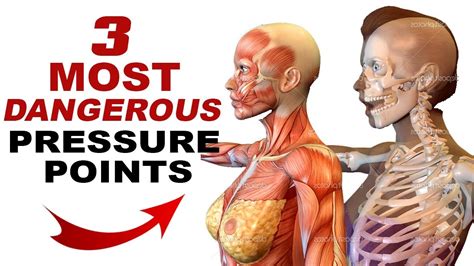 3 Most Dangerous Pressure Points For Self Defense Theworldofsurvivalcom
