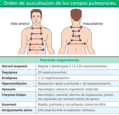 Semiologia tipos de respiración Kussmaul Cheyne Stokes Biot VIDEO