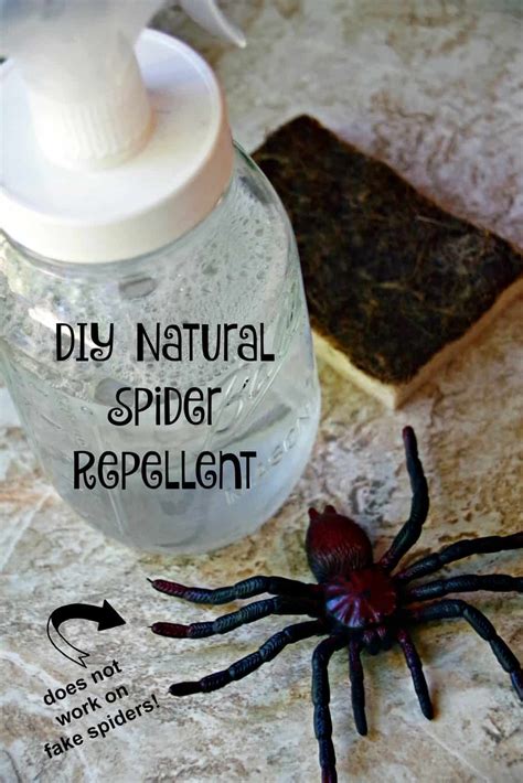 How To Keep Spiders Out Of The House And A Diy Natural Spider Repellent