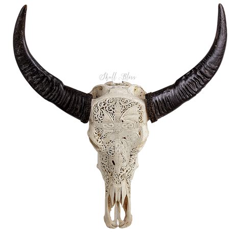 Cattle Horn Animal Skulls Bone Skull Png Download 10001000 Free