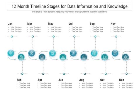 12 Month Timeline Stages For Data Information And Knowledge Infographic
