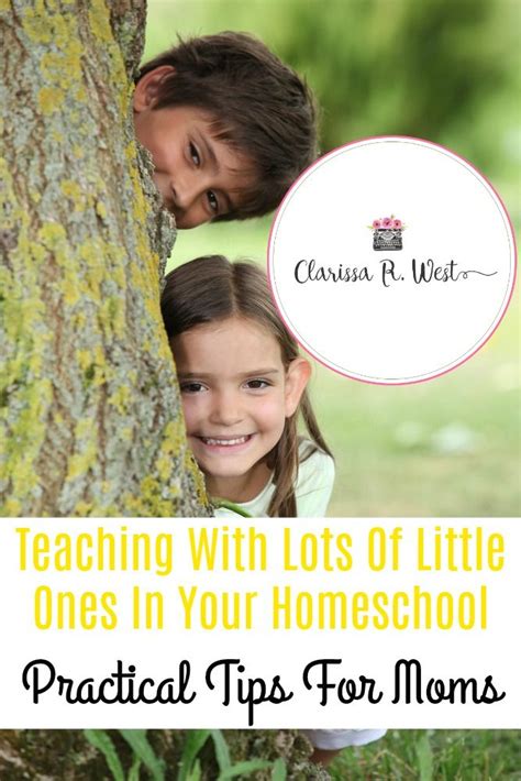 Giveaway Teaching With Lots Of Little Ones In Your Homeschool