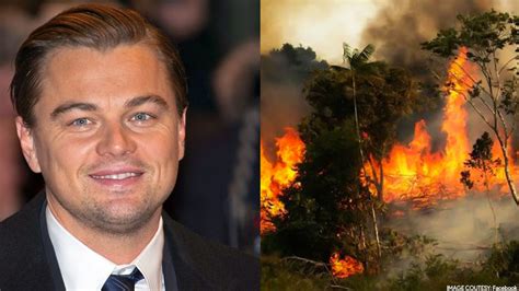 Leonardo Dicaprio Pledges To Donate 5 Million To Amazon Fires Through ‘earth Alliance