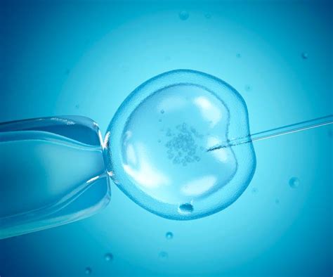 Fertility Breakthrough Could Lead To New Ivf Alternative Now To Love