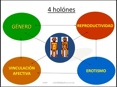 Psicologiamedica Twitterissä 4 Holones Componentes De La Teoría Sistemica De La Sexualidad